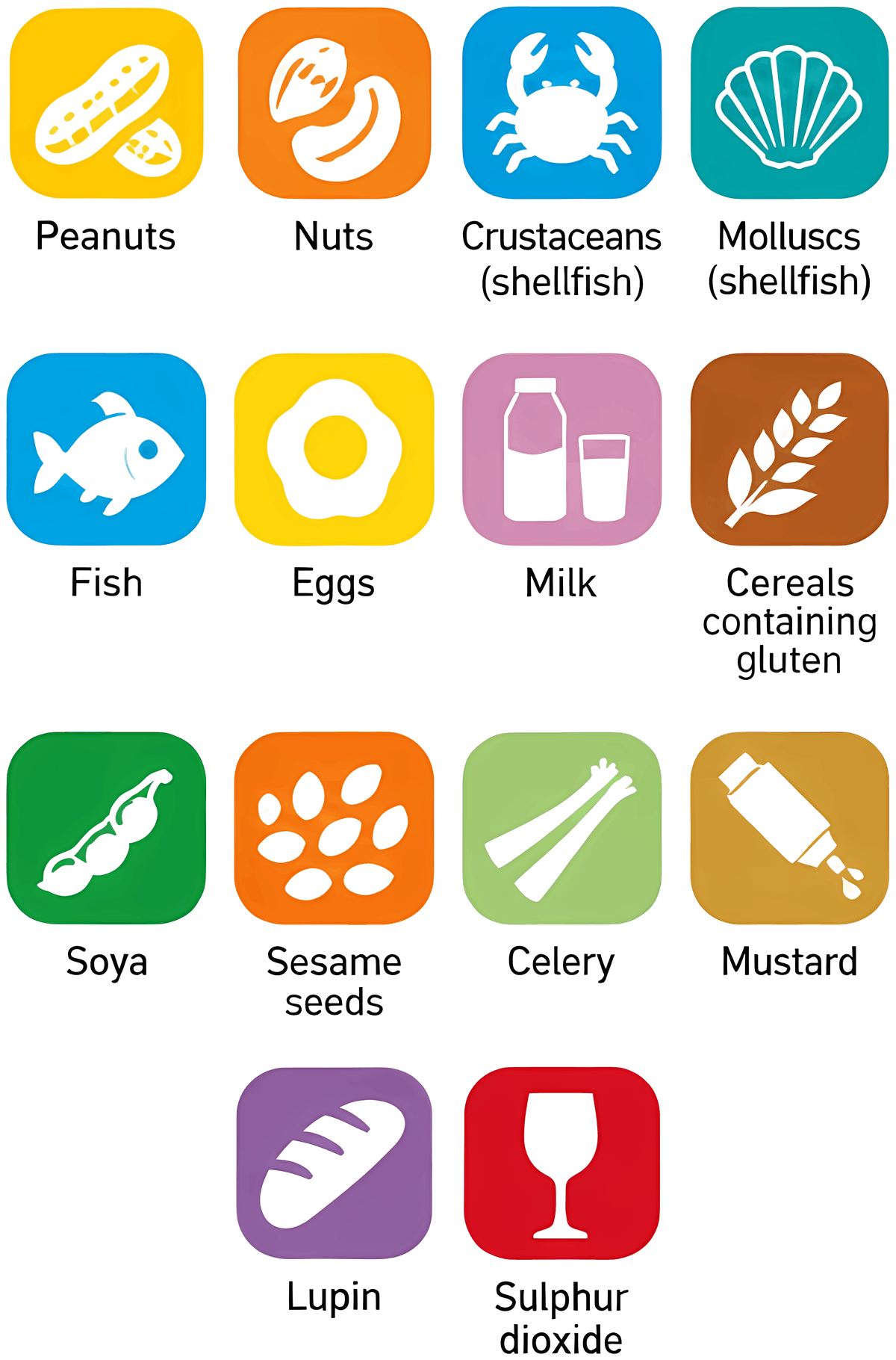 The 14 allergens: peanuts, nuts, crustaceans (shellfish), molluscs (shellfish), fish, eggs, milk, cereals containing gluten, soya, sesame seeds, celery, mustard, lupin and sulphur dioxide
